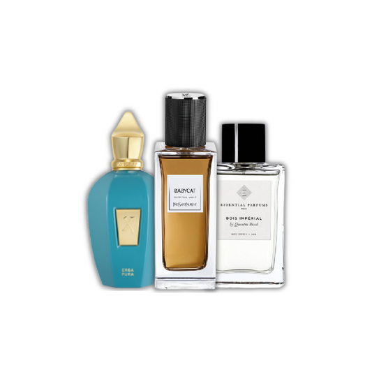 THE NICHE STARTER SET (x3)